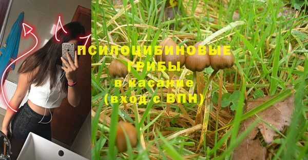 прущая мука Арсеньев