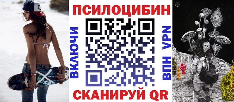 Псилоцибиновые грибы Psilocybe  Судак 